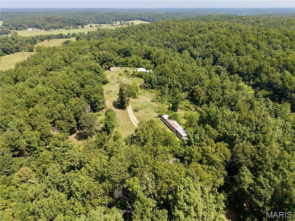 1333-county-road-565-van-buren-mo photo 3