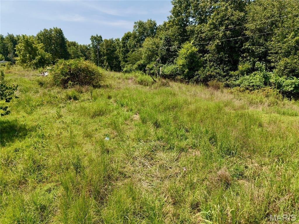 1333-county-road-565-van-buren-mo photo 4
