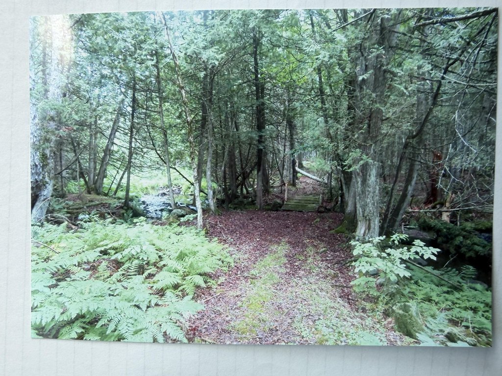 510-milo-rd-dover-foxcroft-me photo 4