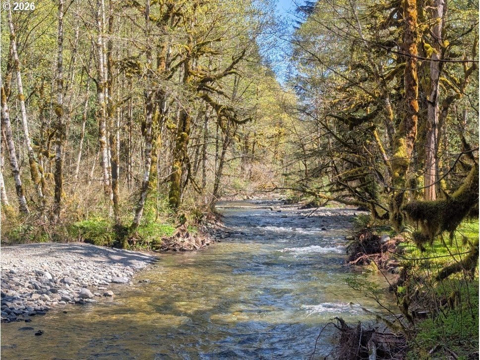 30460-e-rd-12-lot-133-rhododendron-or photo 4
