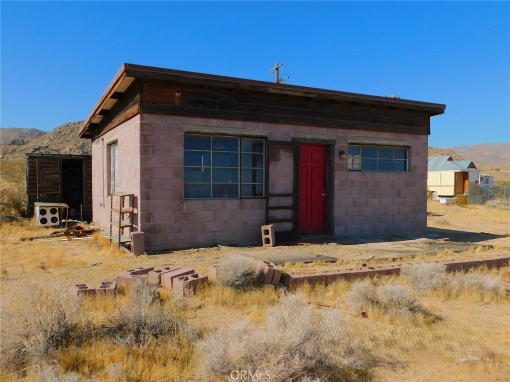 cholla-johnson-valley-ca photo 2