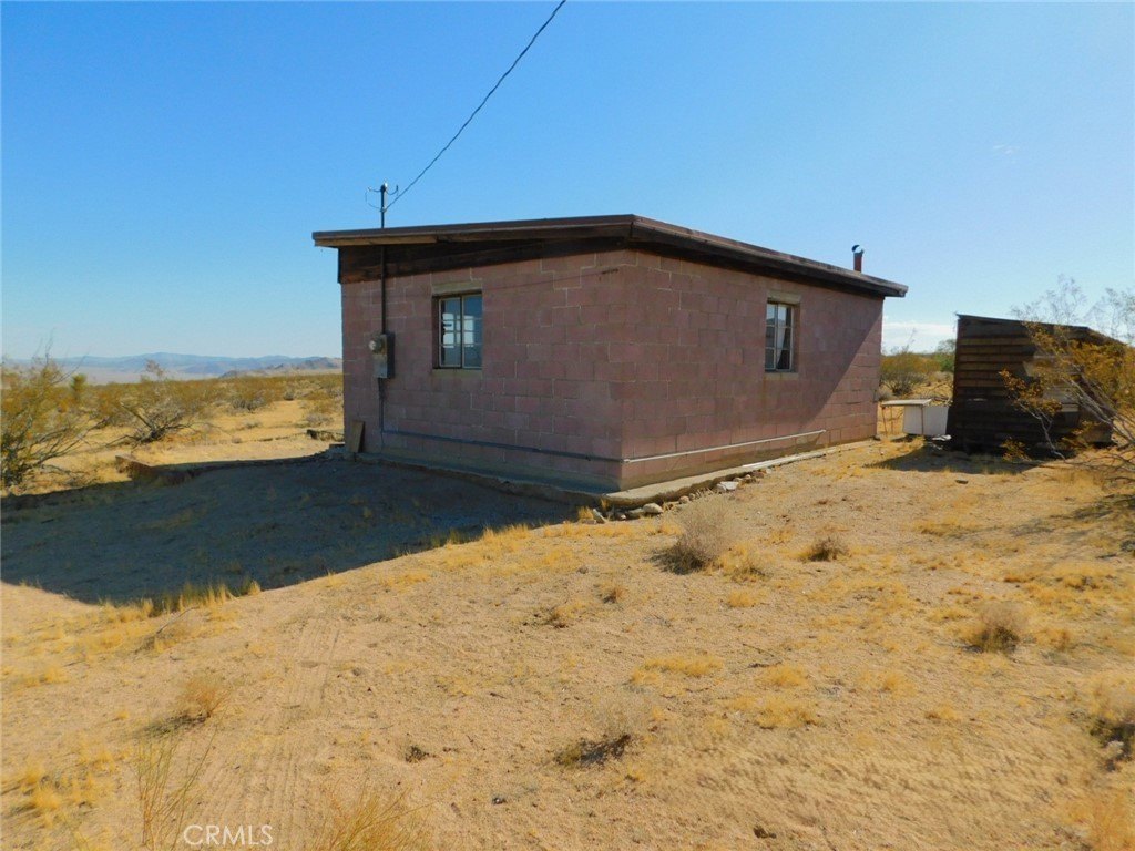 cholla-johnson-valley-ca photo 3