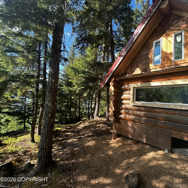 2026 Handcrafted Log Cabin on Chilkat Lake Promontory — $114,000
