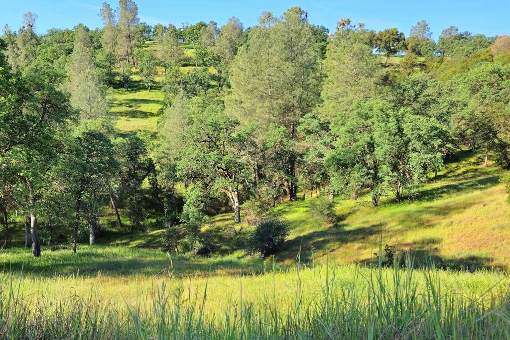 tbd-boneyard-creek-rd-coulterville-ca photo 2
