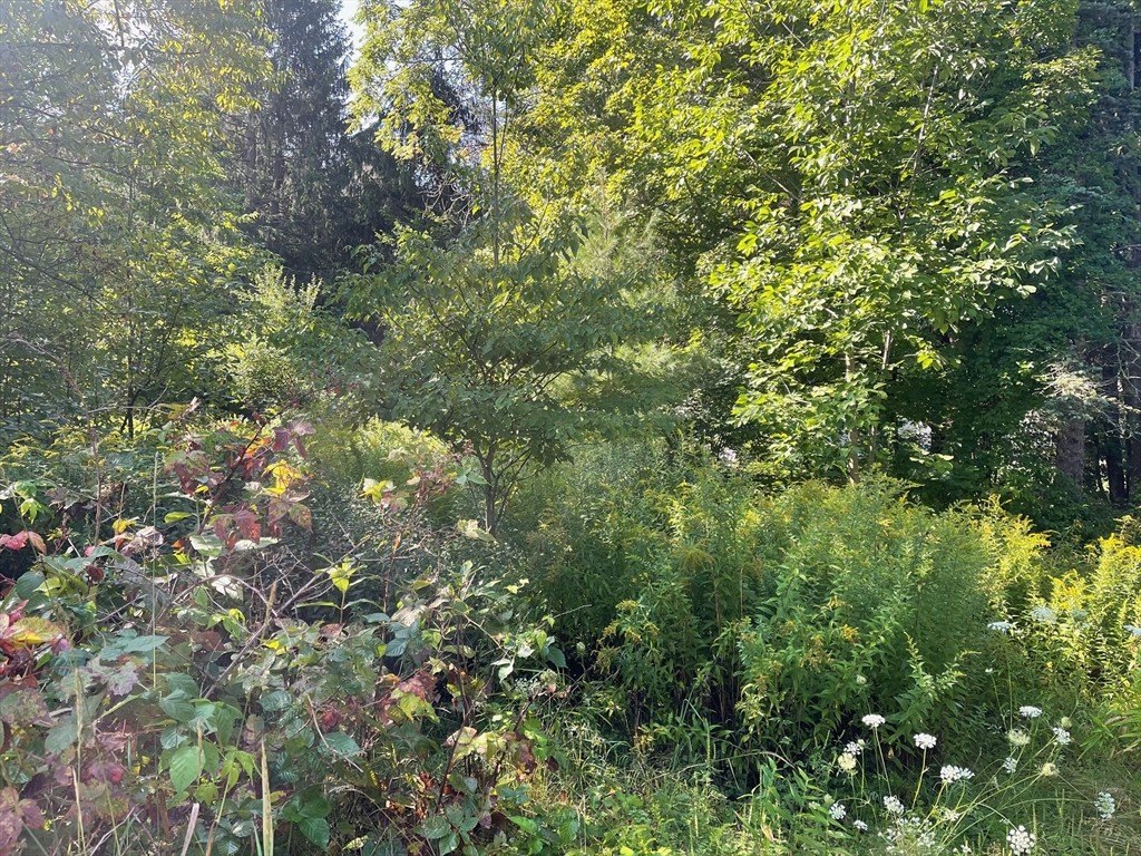 16-liberty-st-templeton-ma photo 3