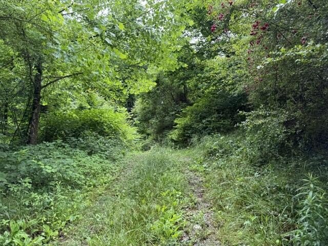 3238-big-willard-rd-busy-ky photo 3