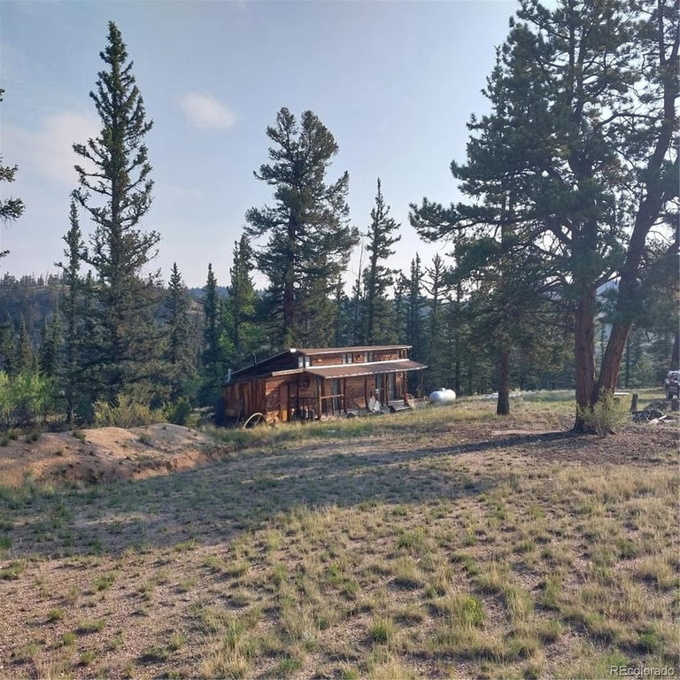 1167-latigo-loop-hartsel-co photo 4