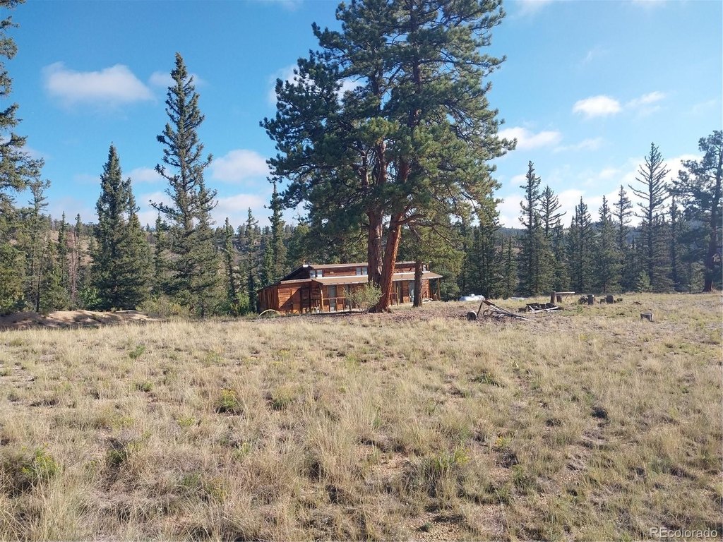 1167-latigo-loop-hartsel-co photo 3