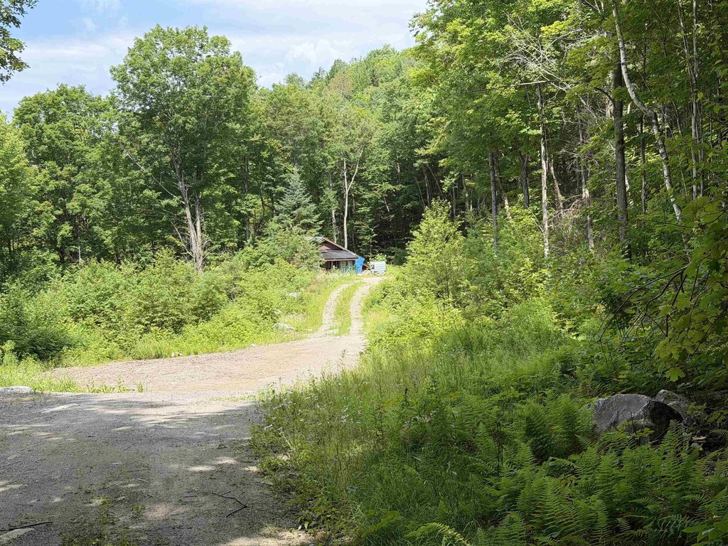 27 Wooded Vermont Acres, Off-Grid, with Cliffs and Summit Trail Access — $124,900