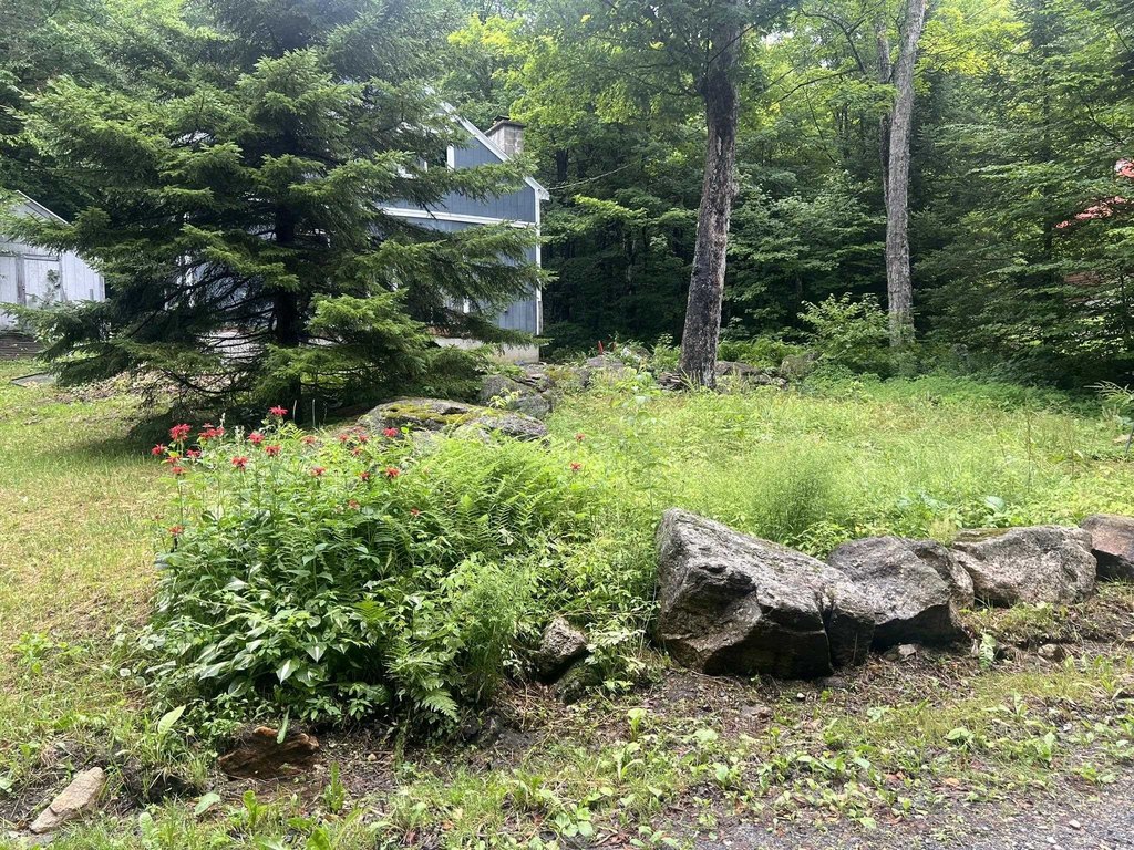 207-sycamore-rd-woodford-vt photo 3
