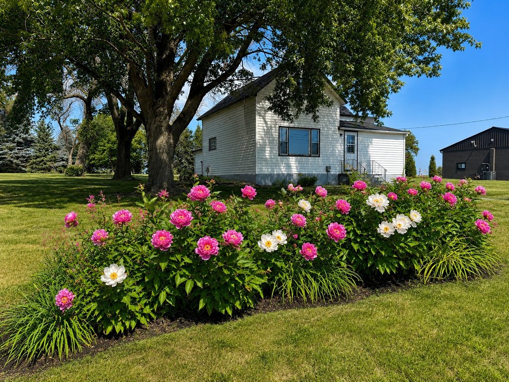 under 150,000 home budget Mountain Lake Minnesota