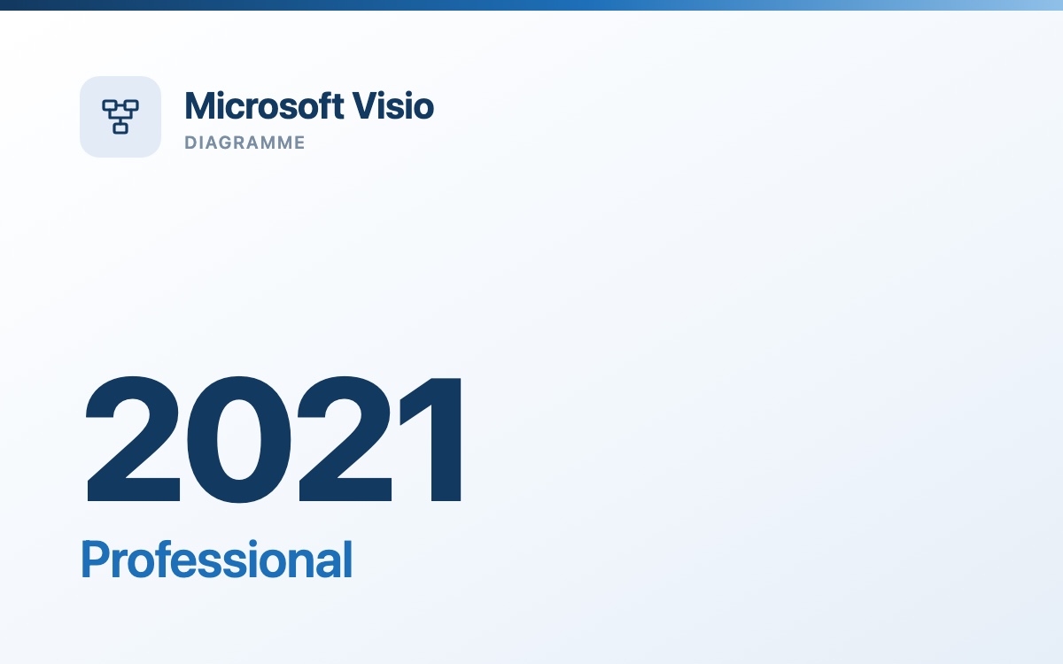 Microsoft Visio 2021 Professional - gebrauchte Volumenlizenz