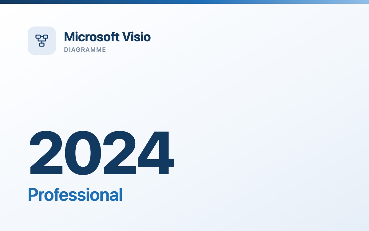 Microsoft Visio 2024 Professional - gebrauchte Volumenlizenz
