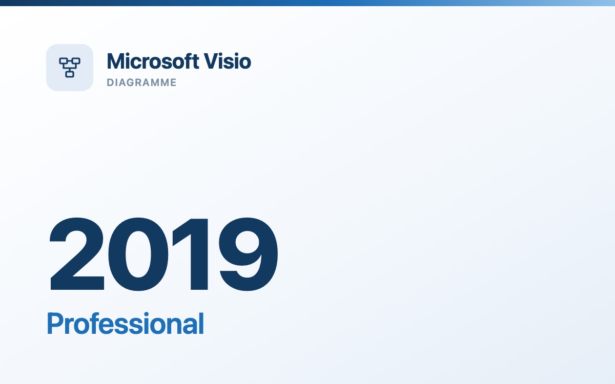 Microsoft Visio 2019 Professional - gebrauchte Volumenlizenz