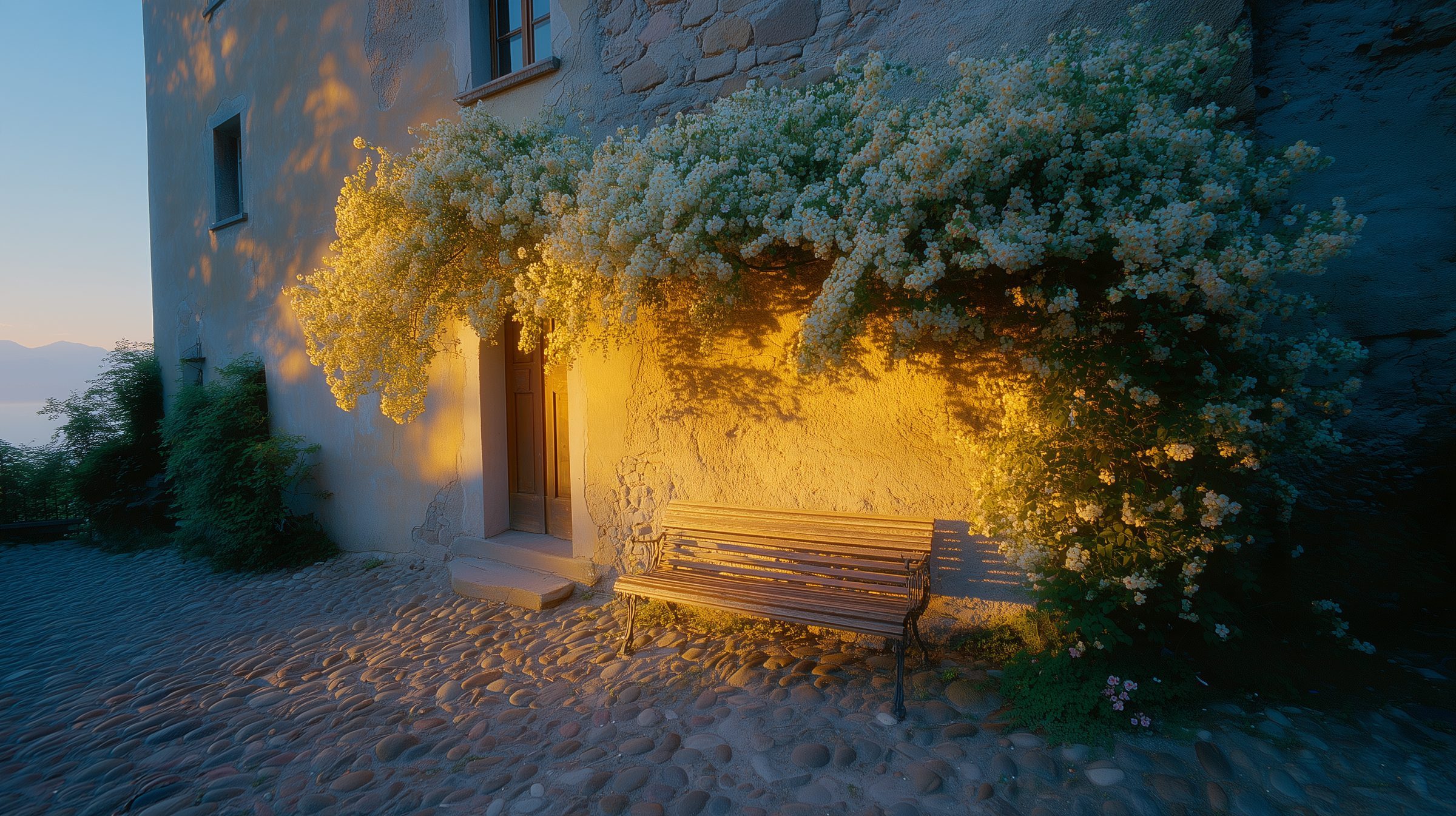 A bench beneath a flowering climber against an old stone house