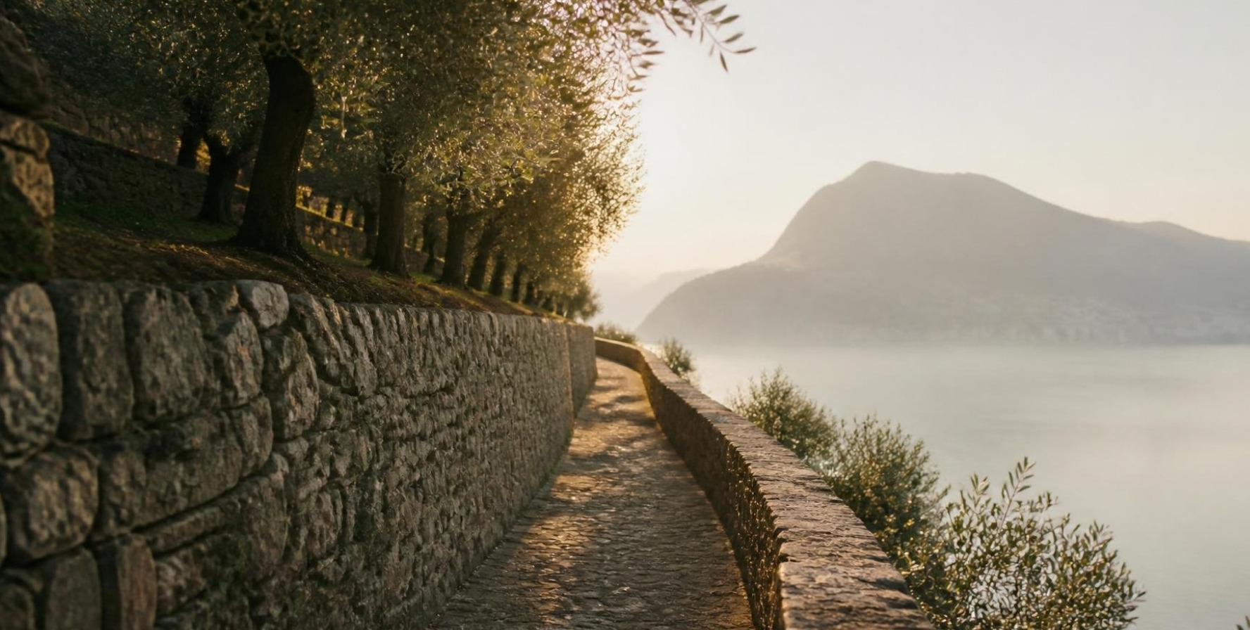 An old stone path between olive terraces above Lake Lugano at first light