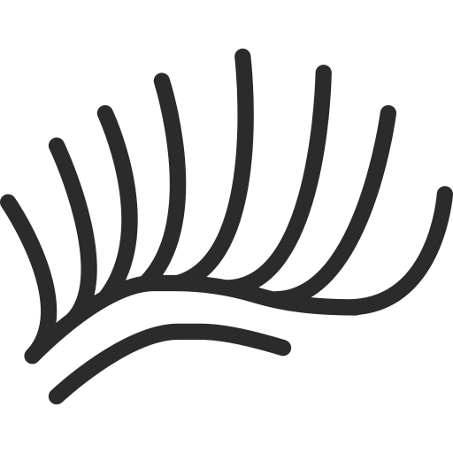 Icon for Eyelash extension services