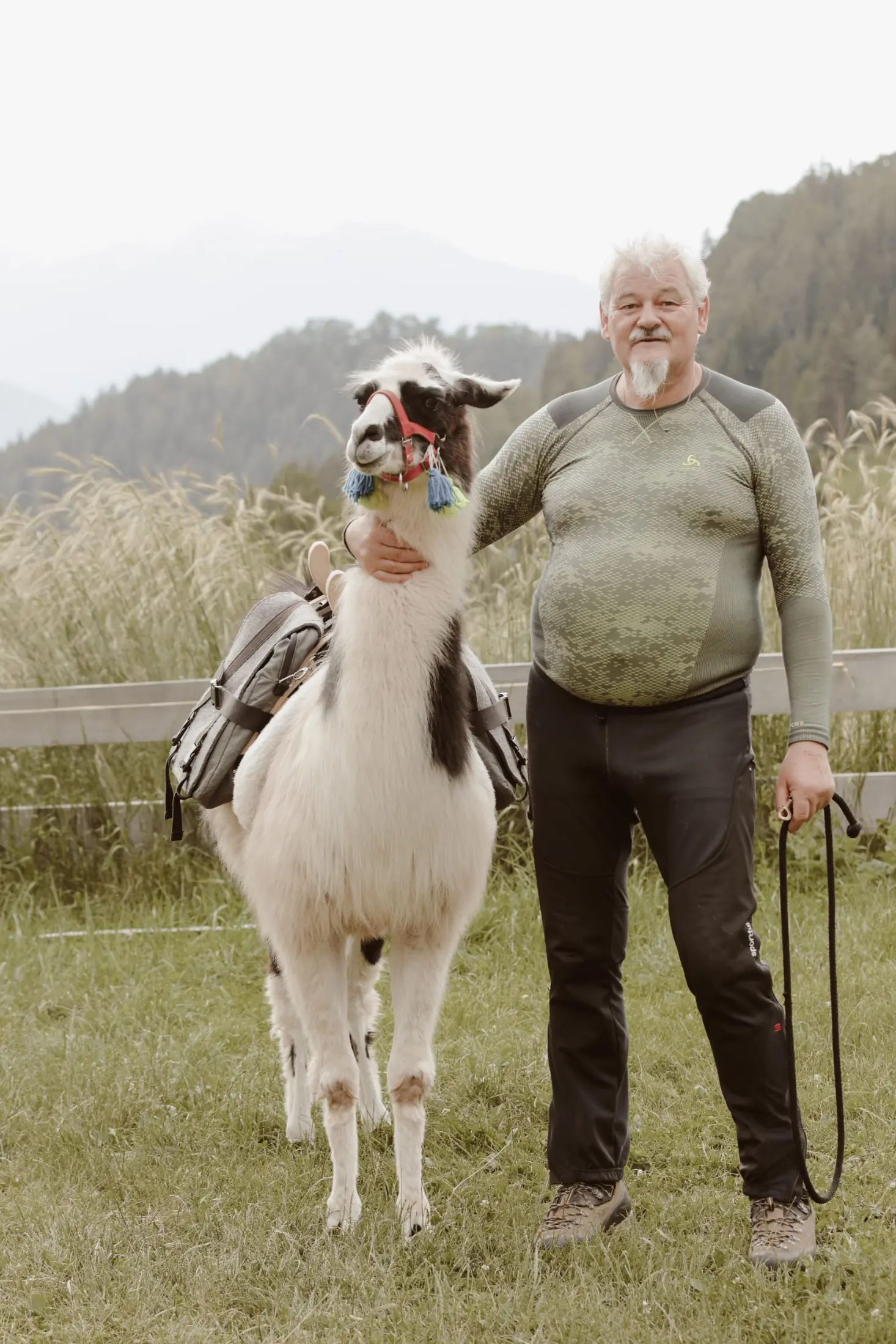 Simon mit Lama beim Lamatrekking in Mölten, Südtirol