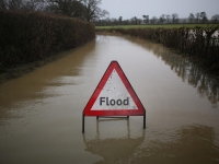 Post-Paris flooding illustration