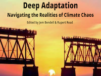 Deep Adaptation: Navigating the Realities of Climate Chaos book cover