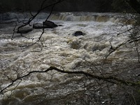 roiling waters