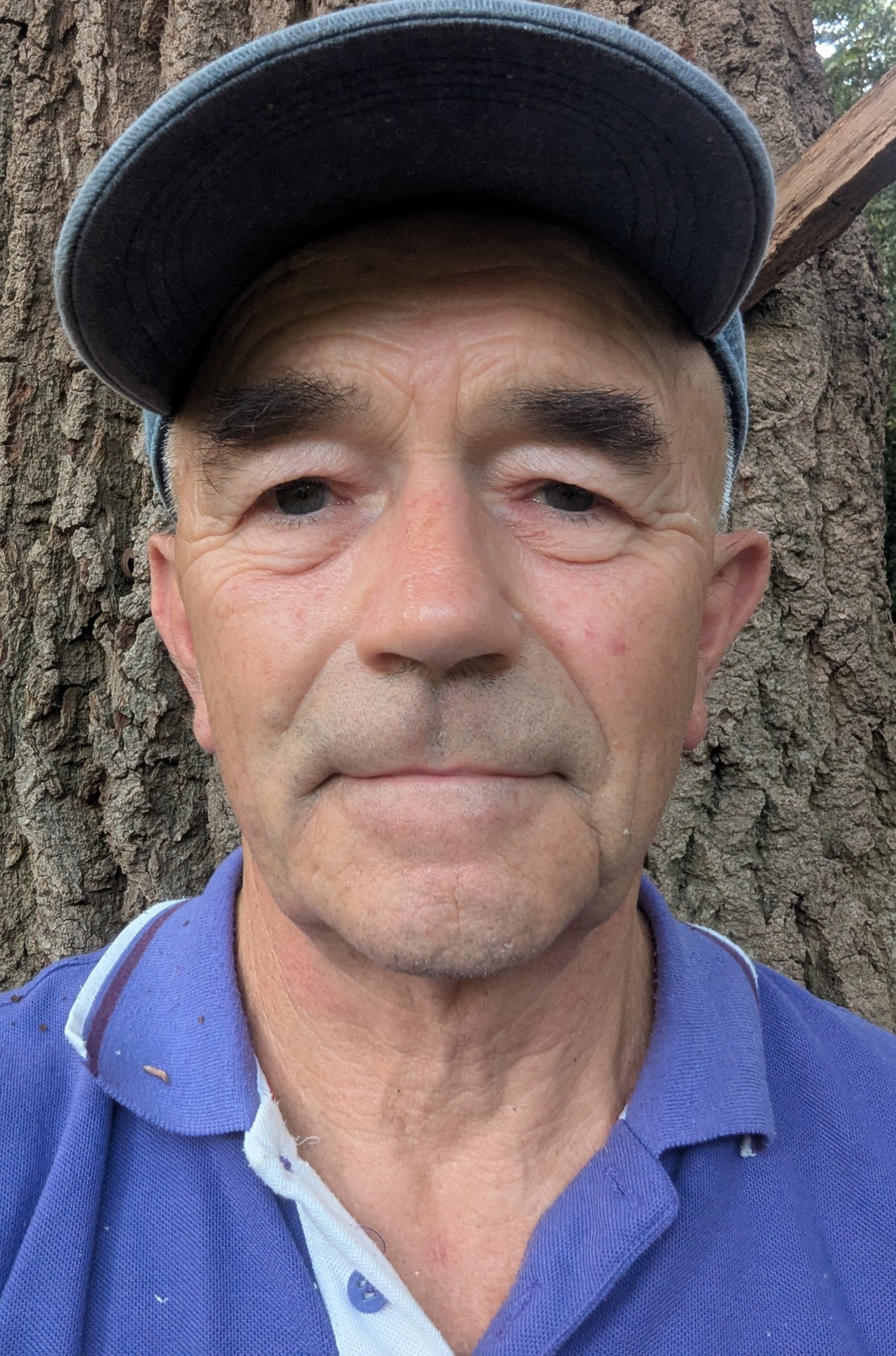Martin Wilks