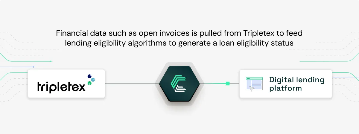 Tripletex integration use case: Evaluating loan eligibility in digital lending platforms
