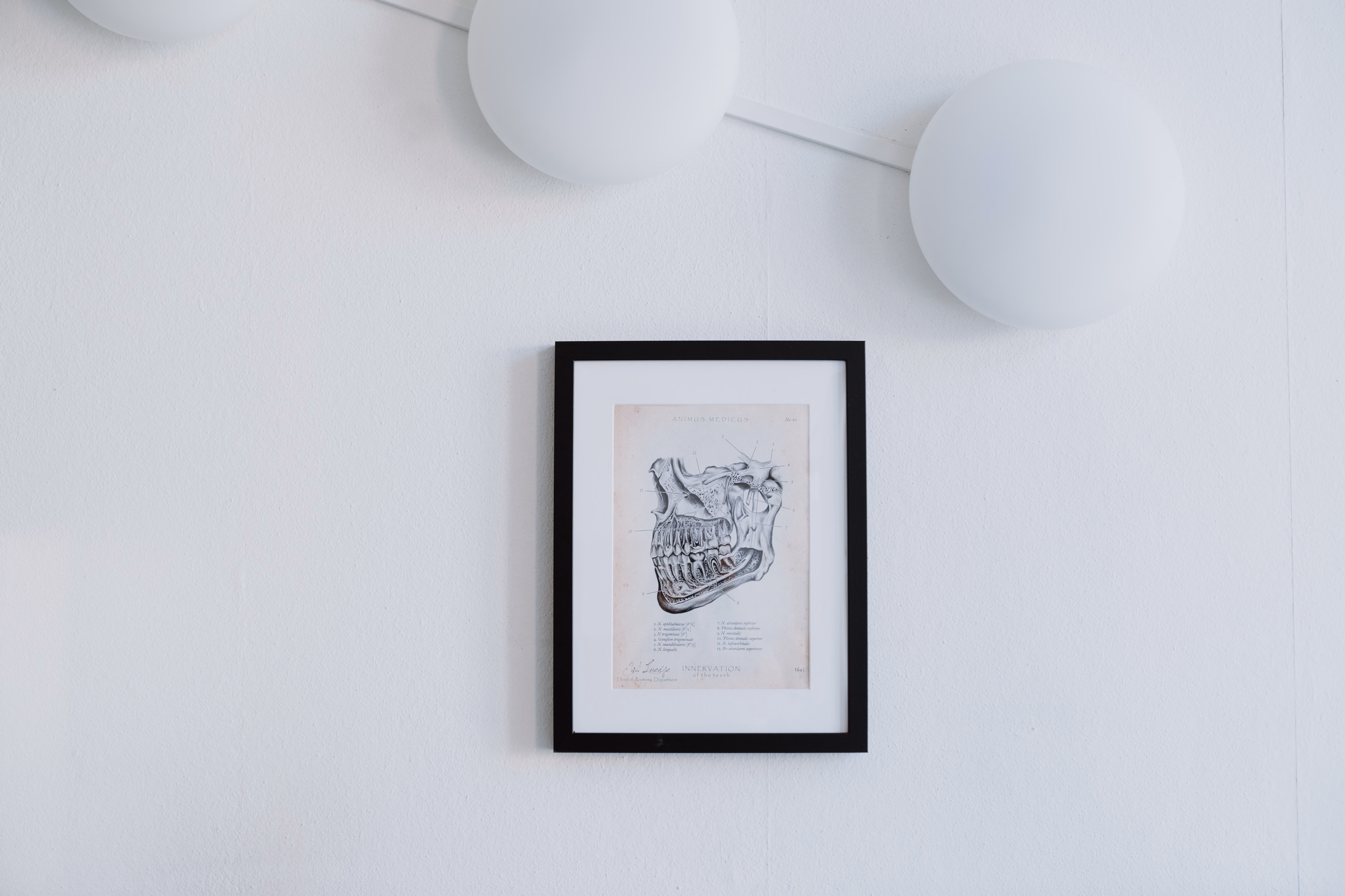 Schwarzer Rahmen mit anatomischer Zeichnung eines menschlichen Kiefers an weißer Wand.