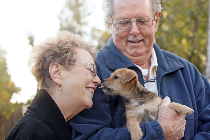 A Tail of Companionship: How Pets Transform Senior Living