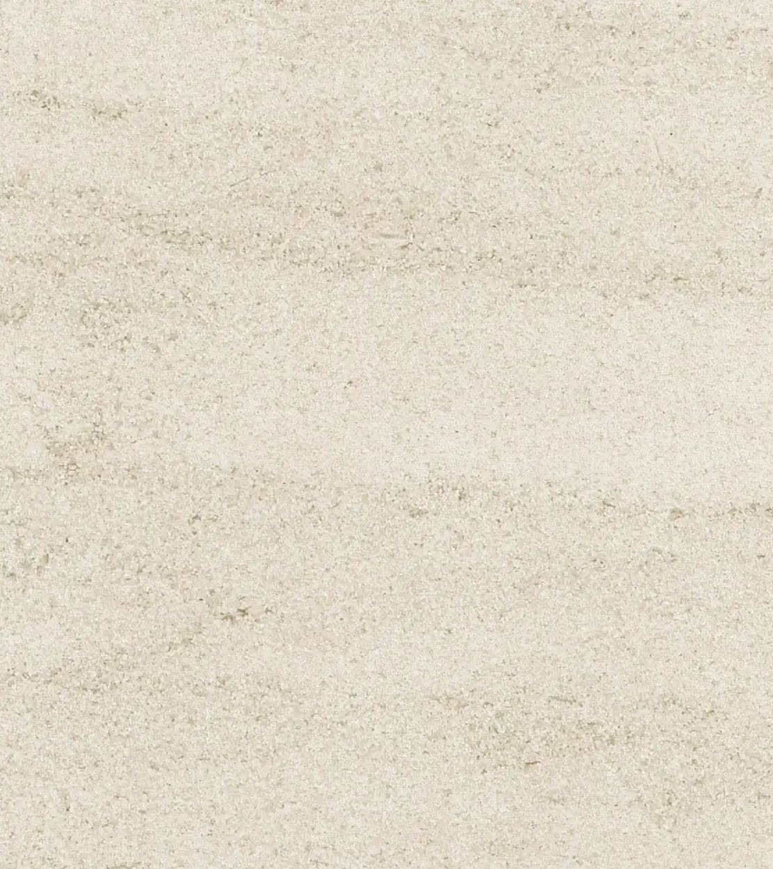 Mocha Cream Wood Fossil