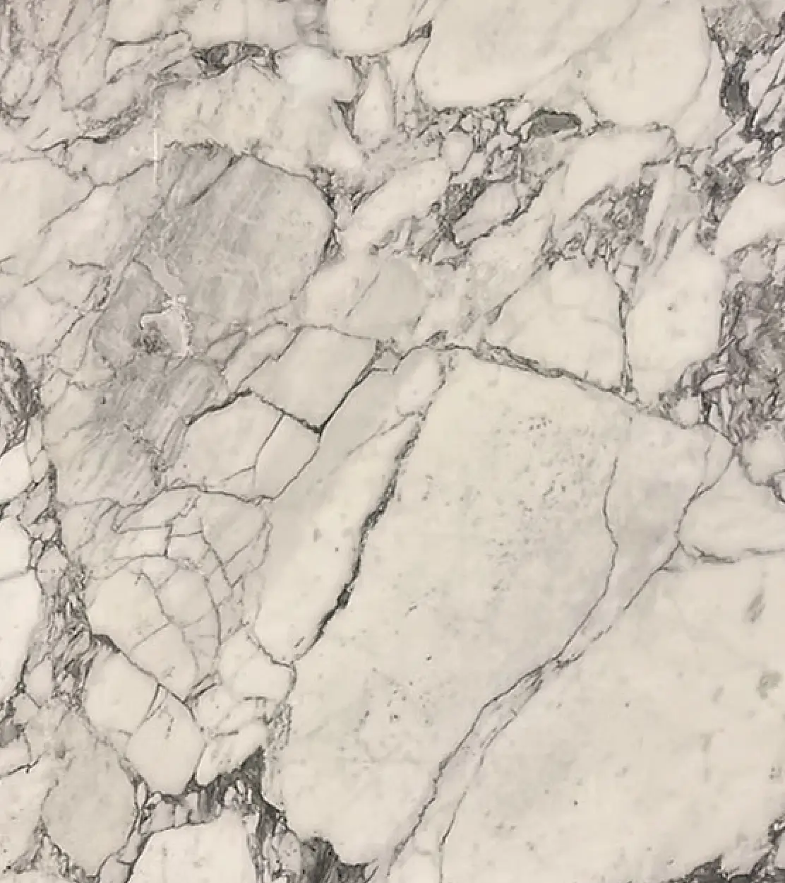 Calacatta Oro