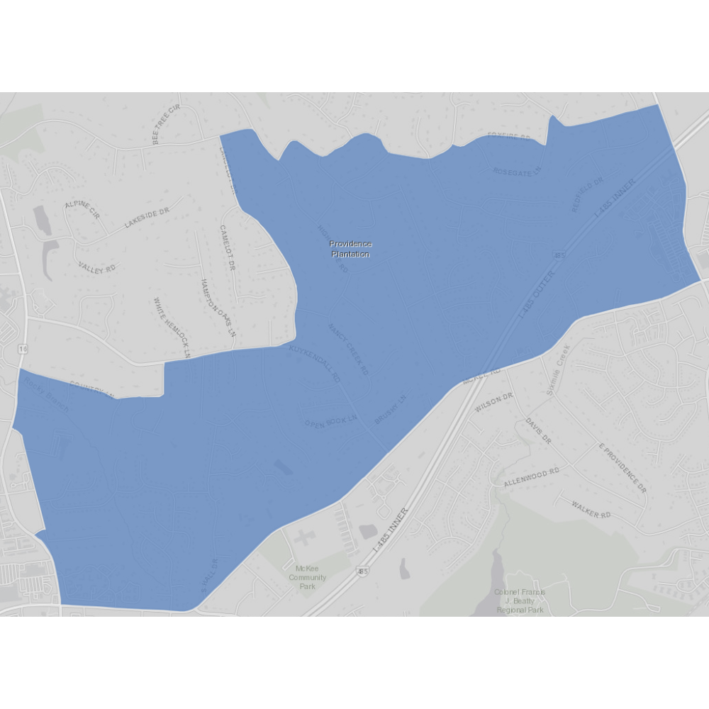 Map of Precinct 113 boundaries