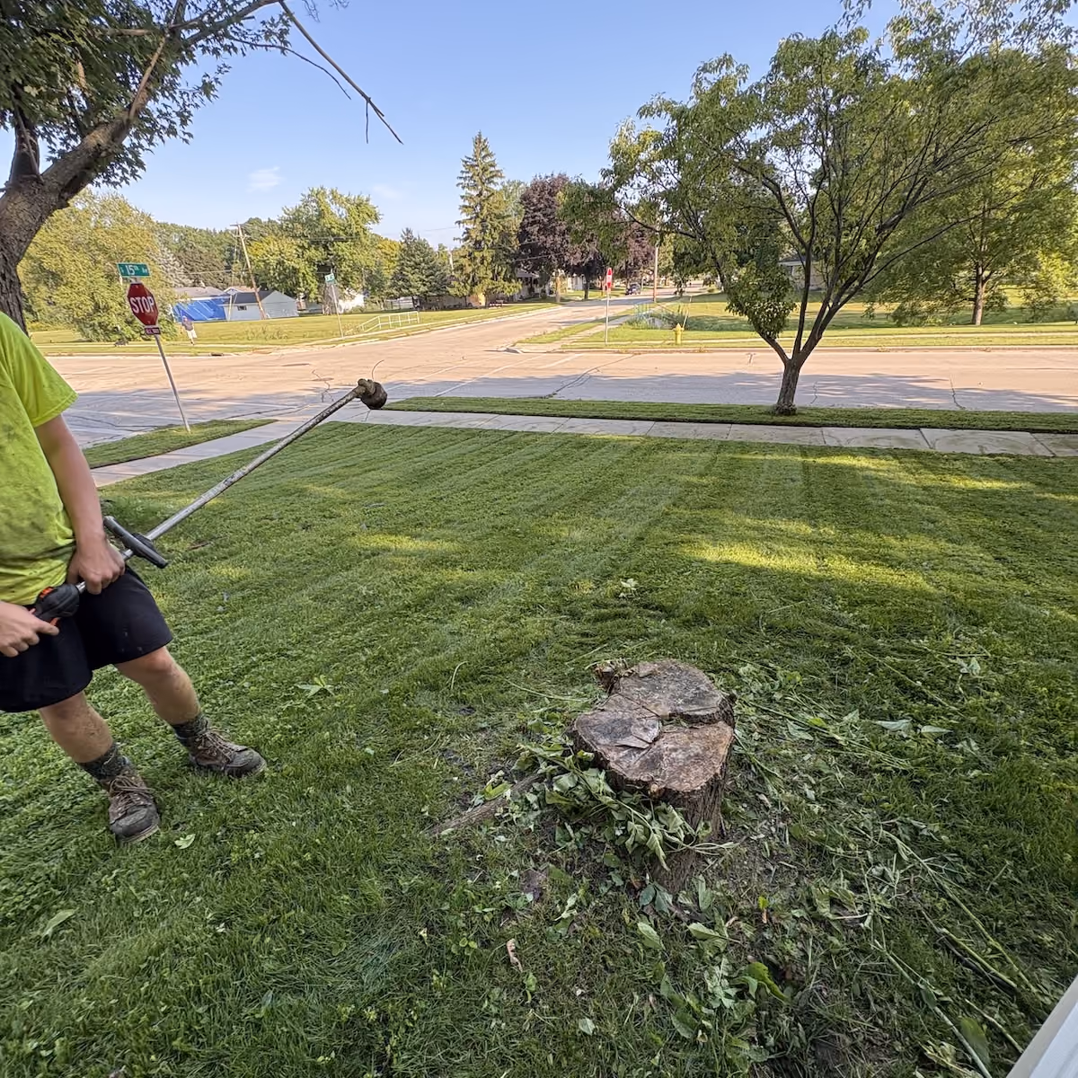 Professional lawn maintenance by Donath Landscaping Solutions LLC in Southeastern Wisconsin