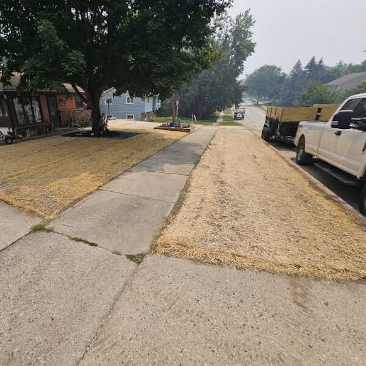 Professional lawn maintenance near me for homes and businesses in Southeastern Wisconsin