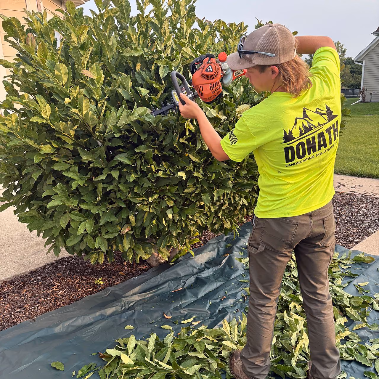 Donath Landscaping Solutions LLC landscaping project in Southeastern Wisconsin