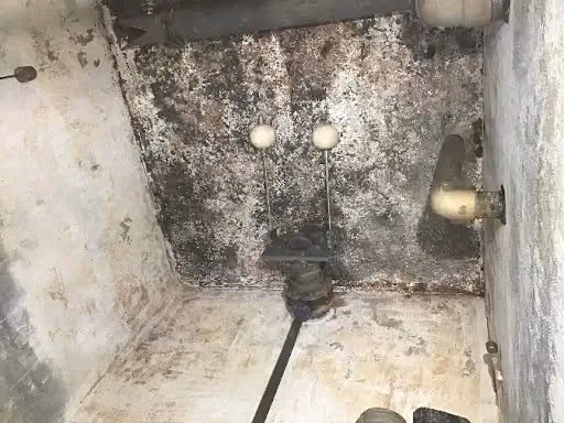 Pro-Vac team on site