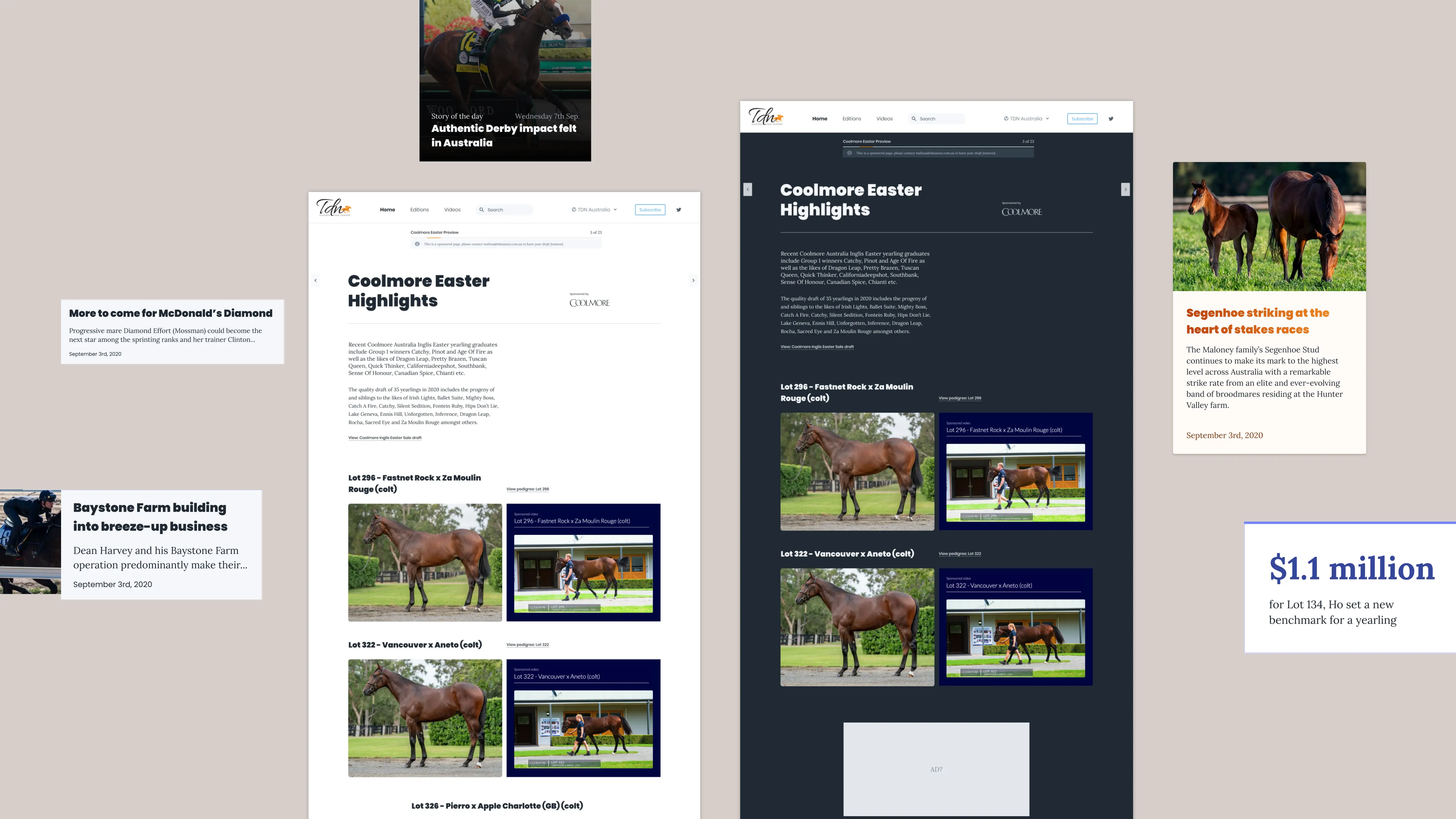 Various UI elements of the website