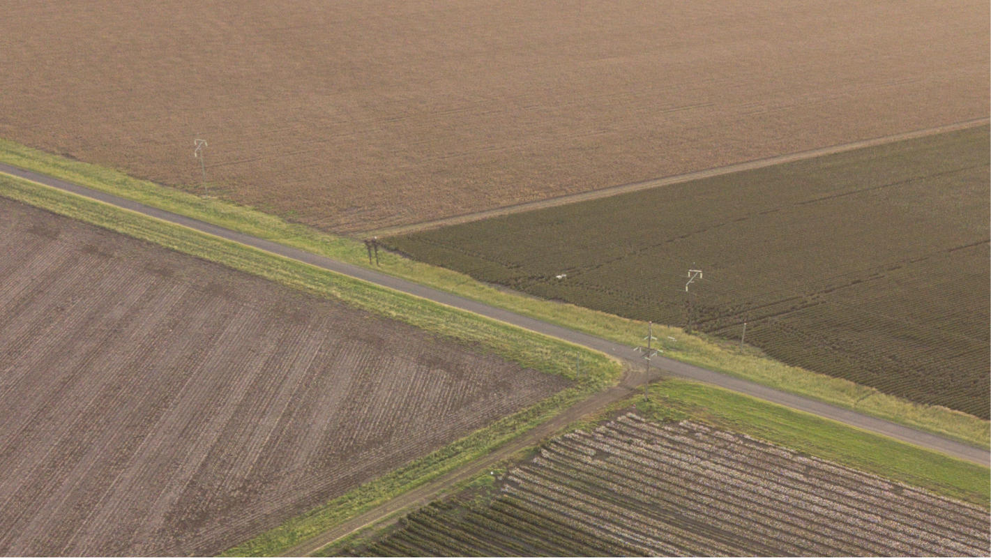 Cotton fields in regional Australia