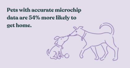 Microchips
