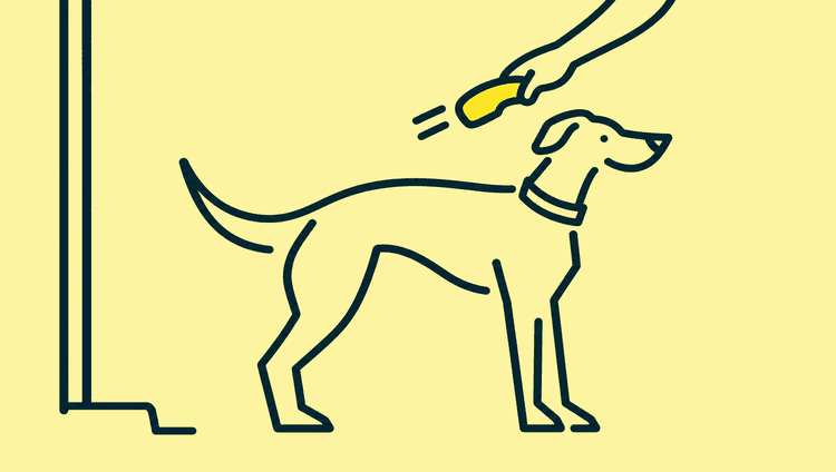 A dog stands calmly while a hand sweeps a small handheld reader above its shoulders to read the chip number.