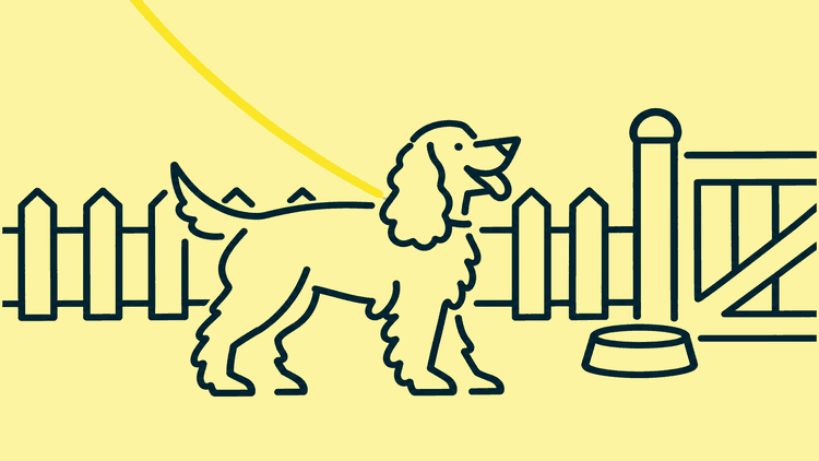 A dog walking on a lead past a low garden fence with a food bowl waiting by the back gate.