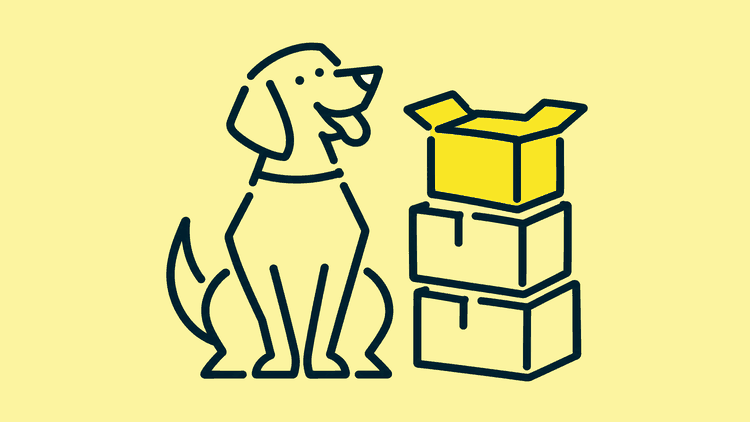 A dog sits facing the viewer beside a stack of cardboard moving boxes in an otherwise empty room.