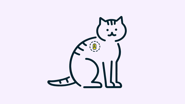 A tabby cat sits side-on with its head turned out, and a small microchip inside a dashed circle shows between its shoulder blades.