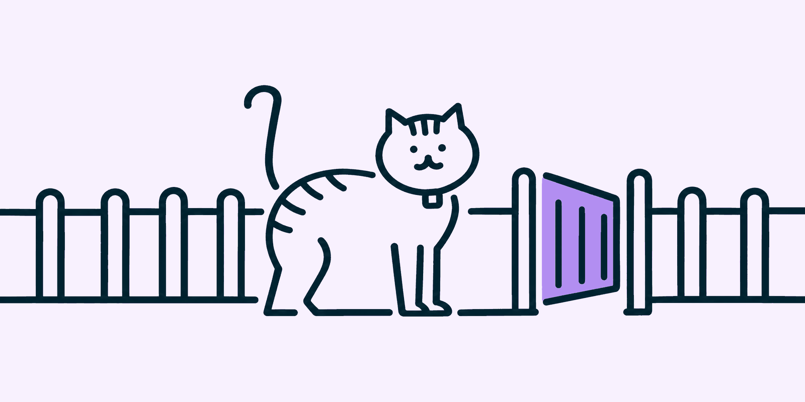 A tabby cat stands in a back garden beside a small open gate in a low fence, tail up, wearing a collar with a small tracker clipped to it.