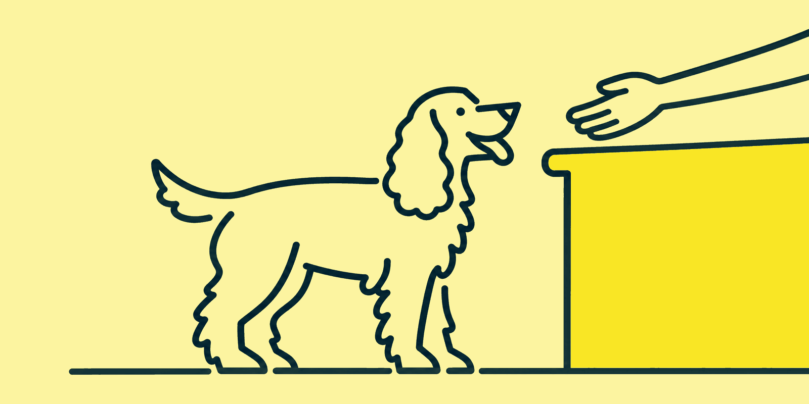 A found dog standing at a council reception counter while a hand reaches over the counter toward it.