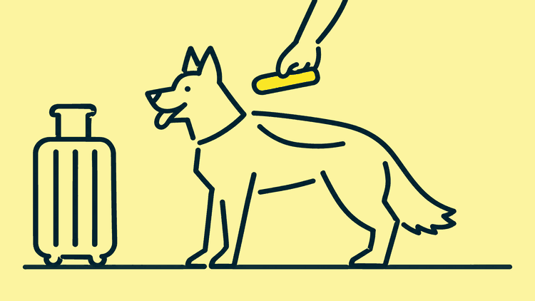 A German shepherd stands by a suitcase while a hand holds a small scanner over its shoulders to check the chip reads.