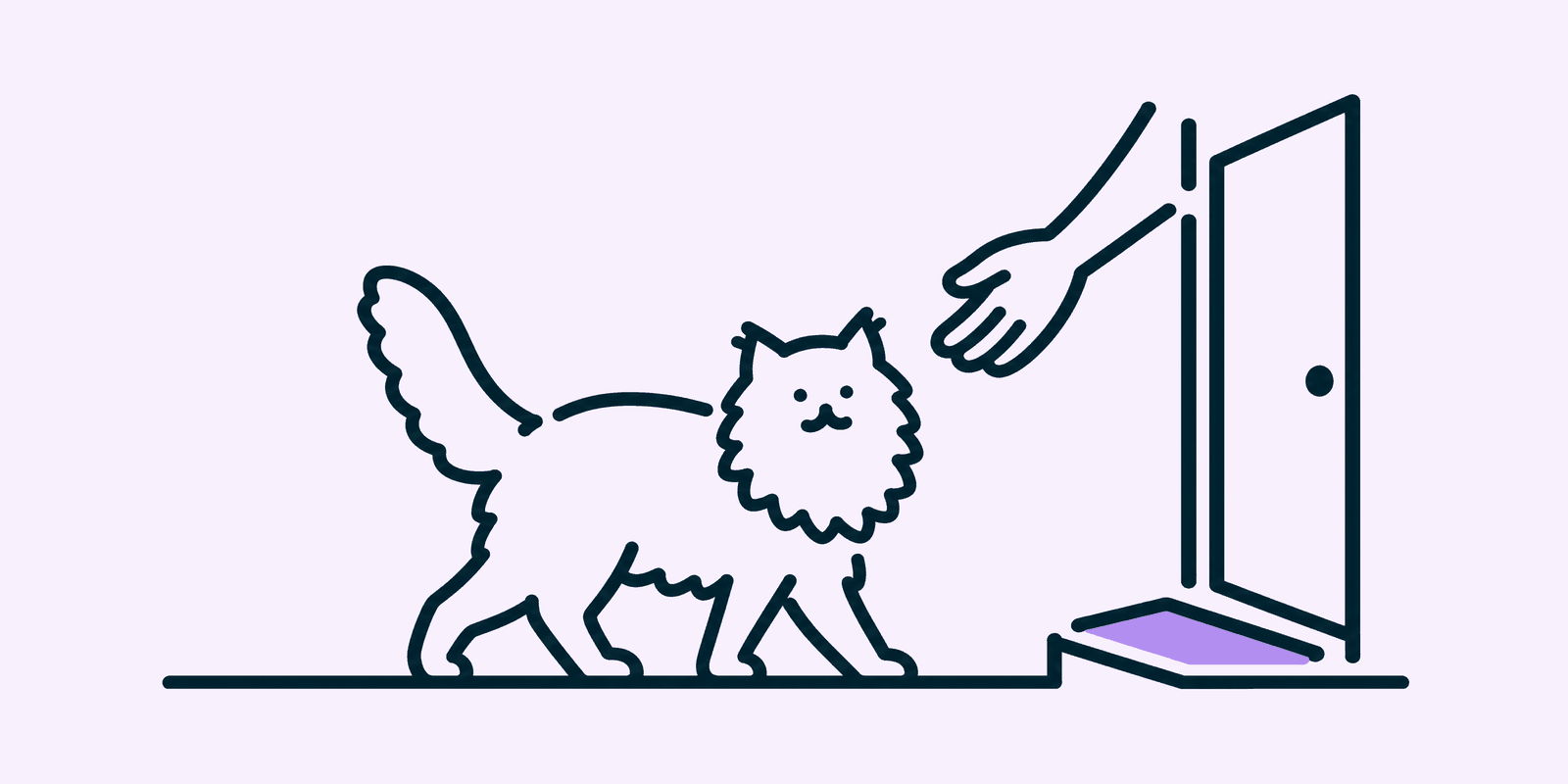 A long-haired cat walks across a hallway toward an open front door where a hand reaches down to greet it, with a doormat on the threshold.