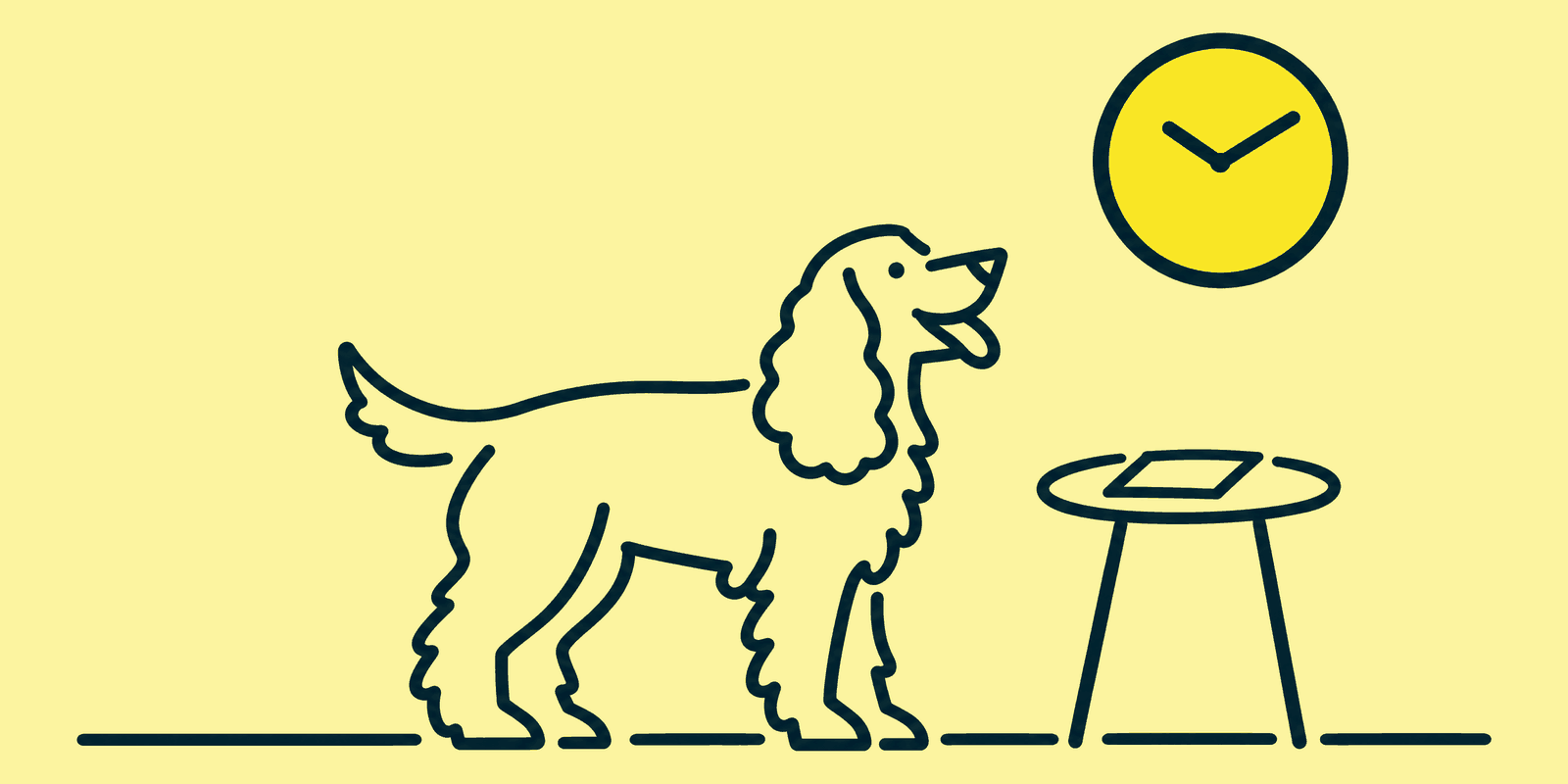 A cocker spaniel stands looking up at a large round wall clock above a small table holding a single certificate sheet.