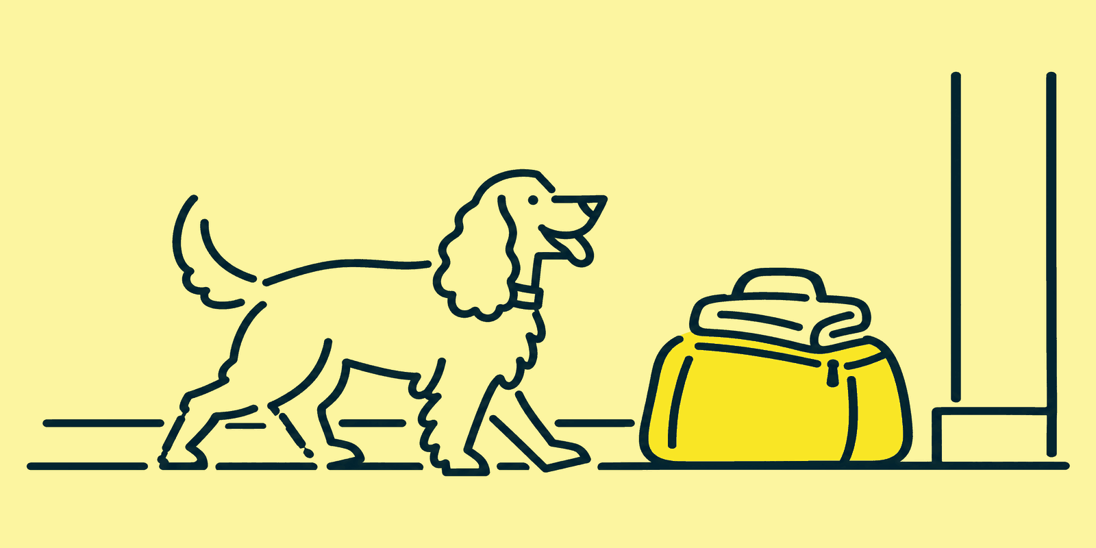 A cocker spaniel trots across a hallway toward a soft holdall bag packed and waiting by a doorway step.