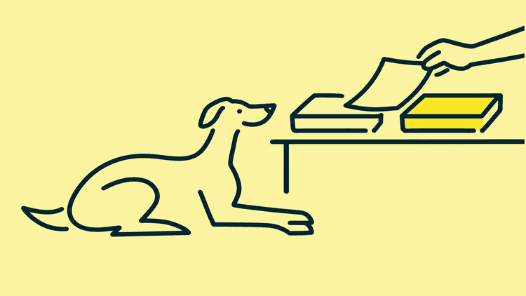 A greyhound lies on a rug watching a hand carry one sheet from one letter tray to another.